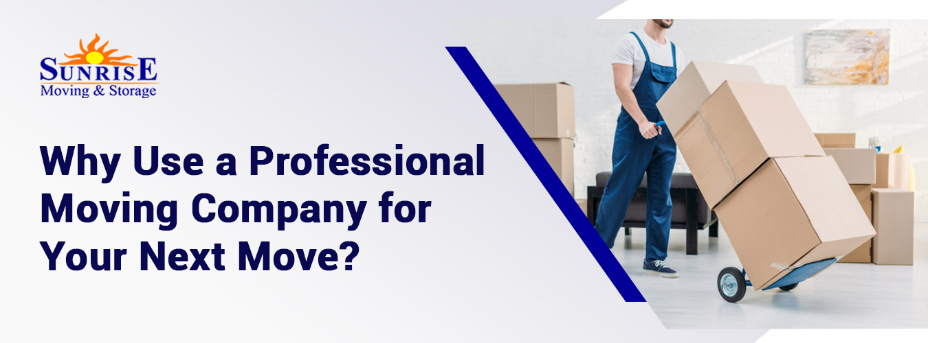 Why Use a Professional Moving Company for Your Next Move?
